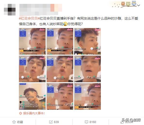 红花会贝贝直播号是什么,红花会贝贝直播恋爱