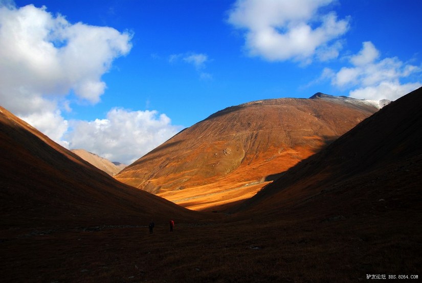 狼c调简谱教唱,狼c