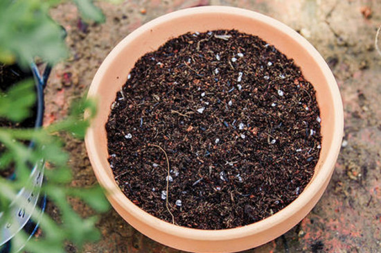 黄土怎样变肥沃,怎样把黄土变田园土