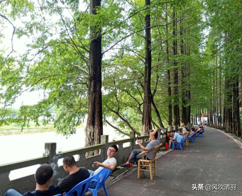 郫县是被遗忘的角落,郫都区位于成都的哪个地方