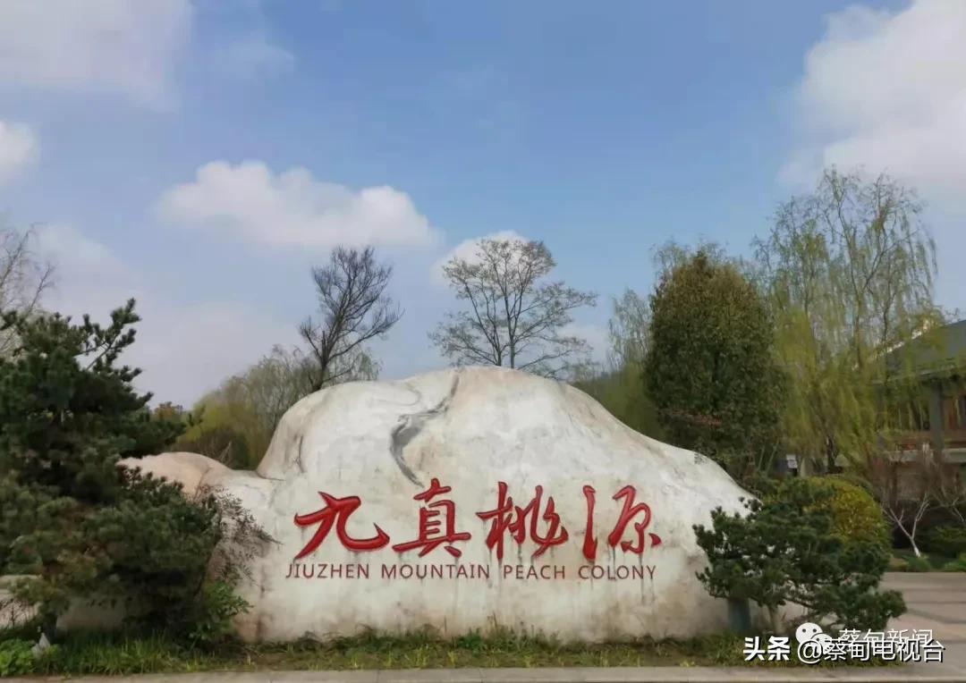 桃之夭夭！来武汉蔡甸世外桃源，许你万株桃花