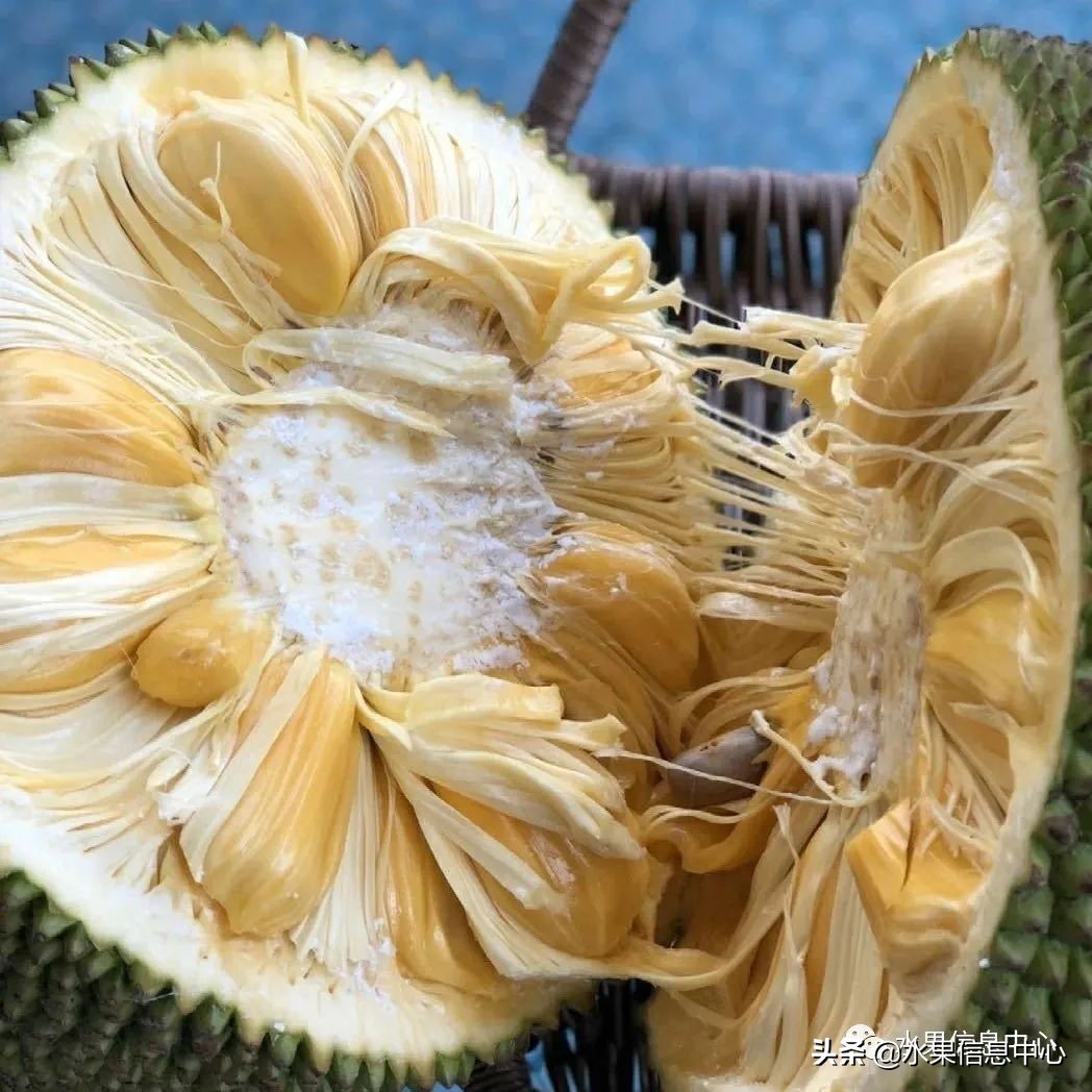 水果天堂：海南水果品种及上市时间表