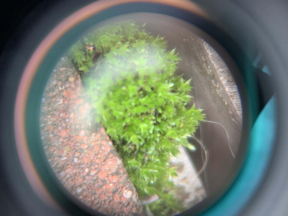 星特朗celestron80eq天文望远镜,星特朗天文望远镜cpcdeluxe1100hd