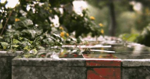 初夏听雨完整版,初夏听雨诗词新韵