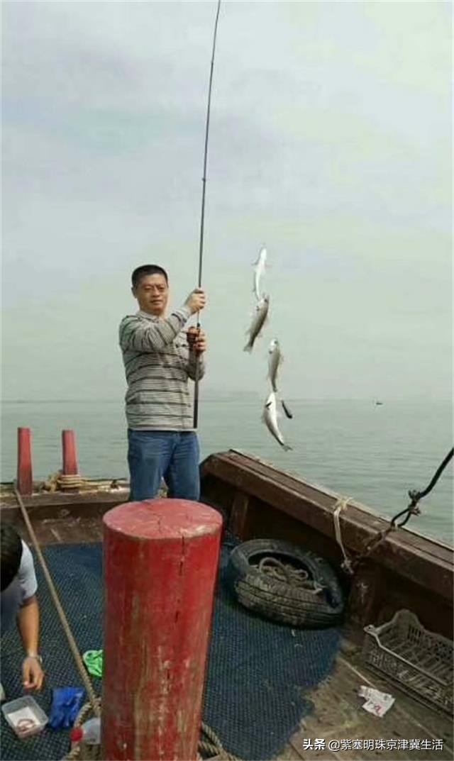 八月别来这座小岛，海鲜吃饱，大海景美唐山月坨岛009号别墅农家