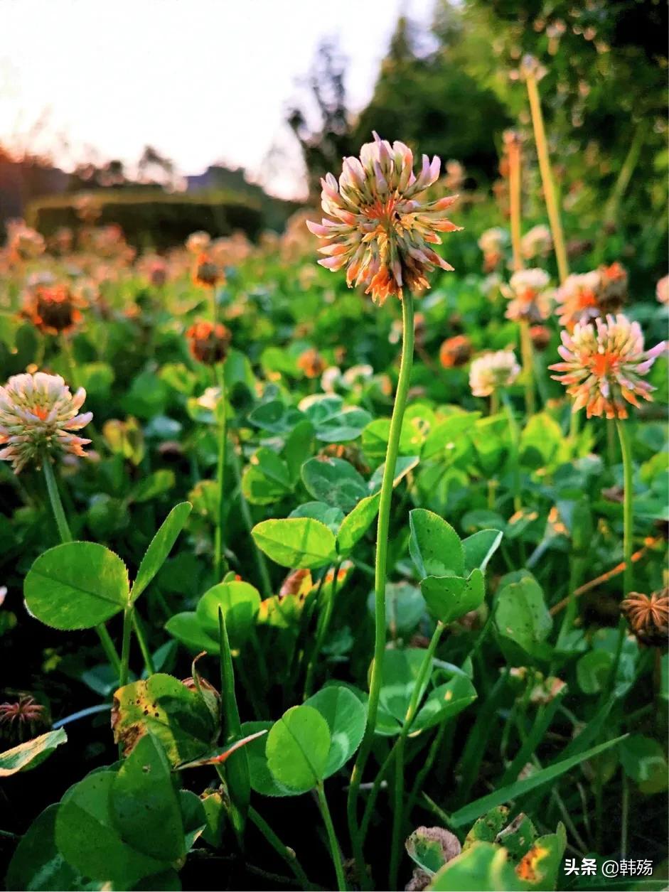 出游不必远行,出游不再烦恼