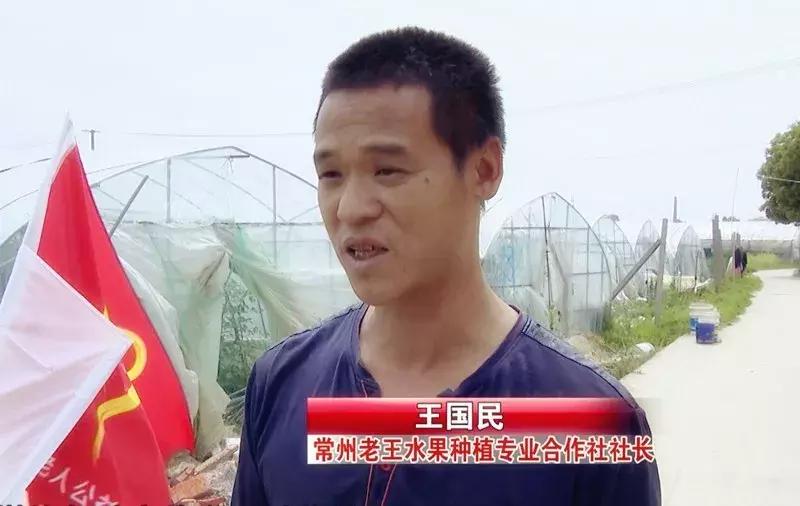 大爱武进！前黄残疾人合作社滞销的圣女果有销路啦.......