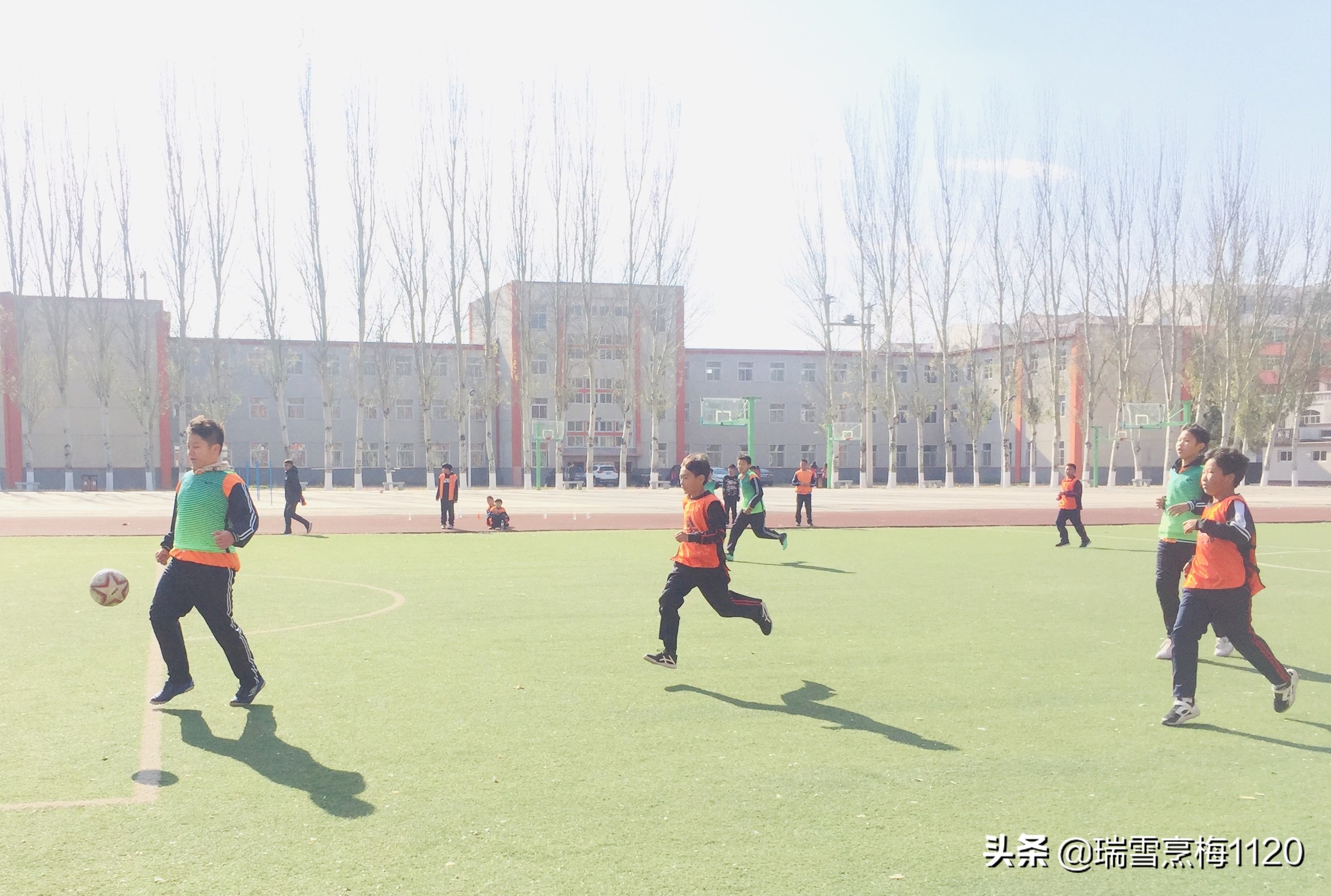 新城子街第一小学喜报,厉害杨浦足球小将斩获市运会冠军