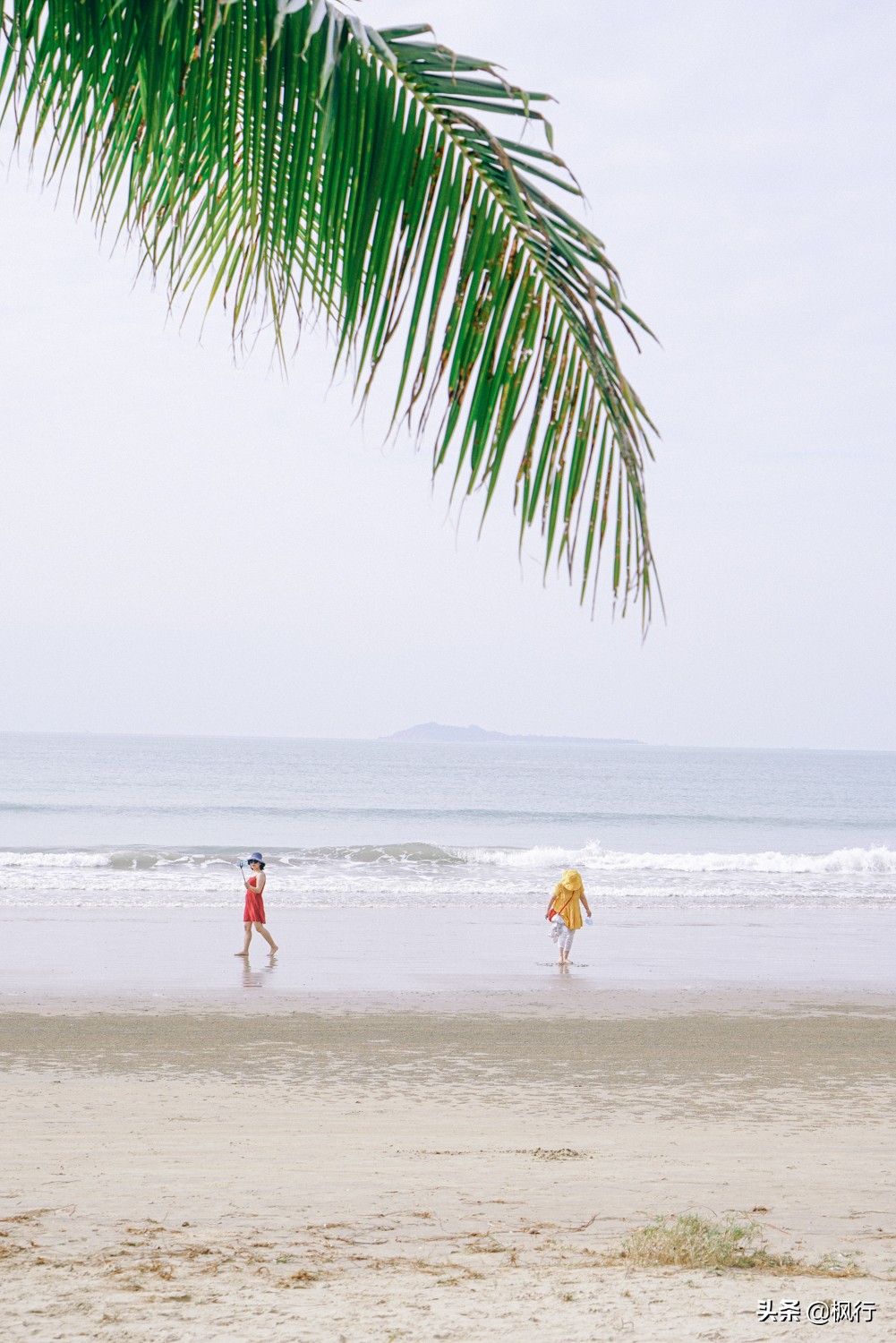 被猴子袭击，门票昂贵，拍照被轰，被我全程吐槽的三亚到底值不值