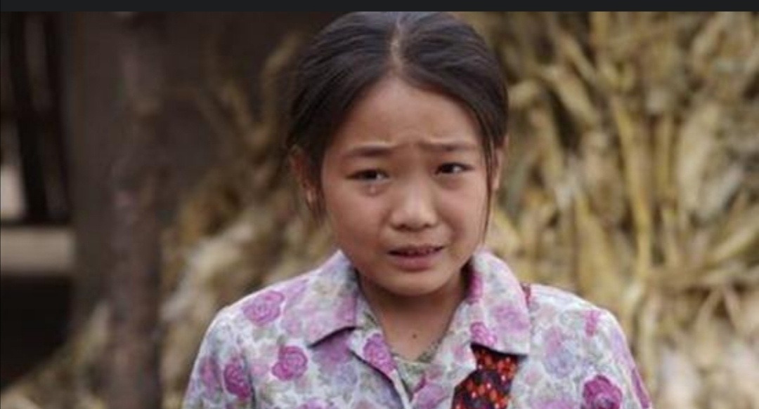 最催泪的10大电视剧推荐,催泪感人的十部电视剧