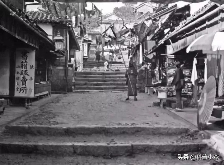 为啥巴西占了南美洲那么大的领土,巴西哪里的移民多