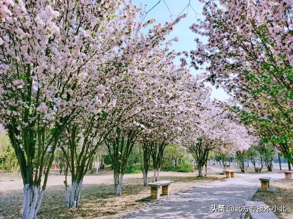 唐山师范学院有二本吗,唐山师范学院是重点二本吗