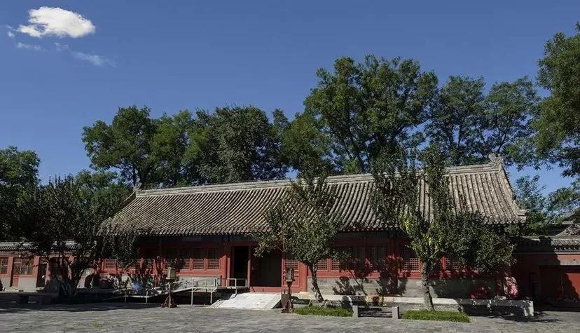 一亩三分地，了解一下？小失误惹了个*麻大**烦