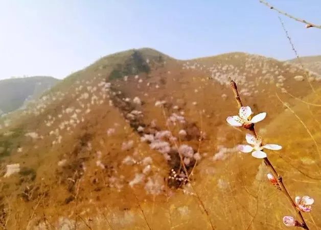 京郊四月美景,京郊四月