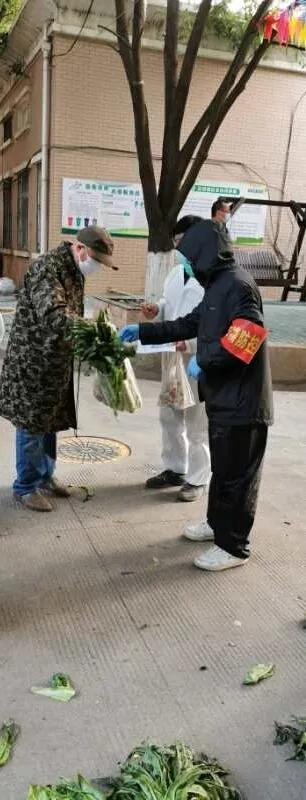 下沉公务员：我在老社区分发10元爱心菜