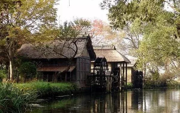 25亩荒地居然年游客竟然超过100万