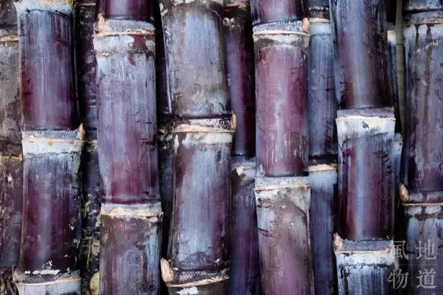 广西不止有螺蛳粉,广西小吃芒果干