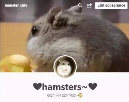 跨境电商做产品怎么做,跨境电商如何做Tiktok营销