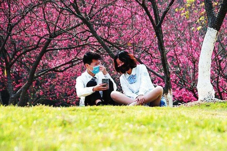 天津都有哪些公园随时免费开放,天津2022年四月开放的公园