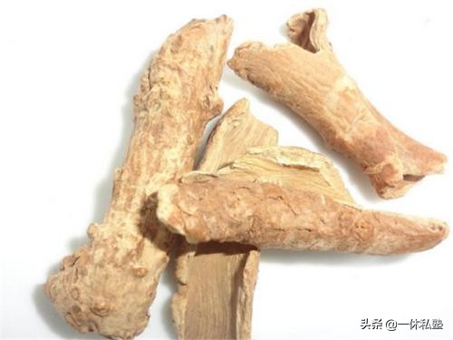 养血滋阴的茶有哪些,滋阴养血的茶都有什么呢