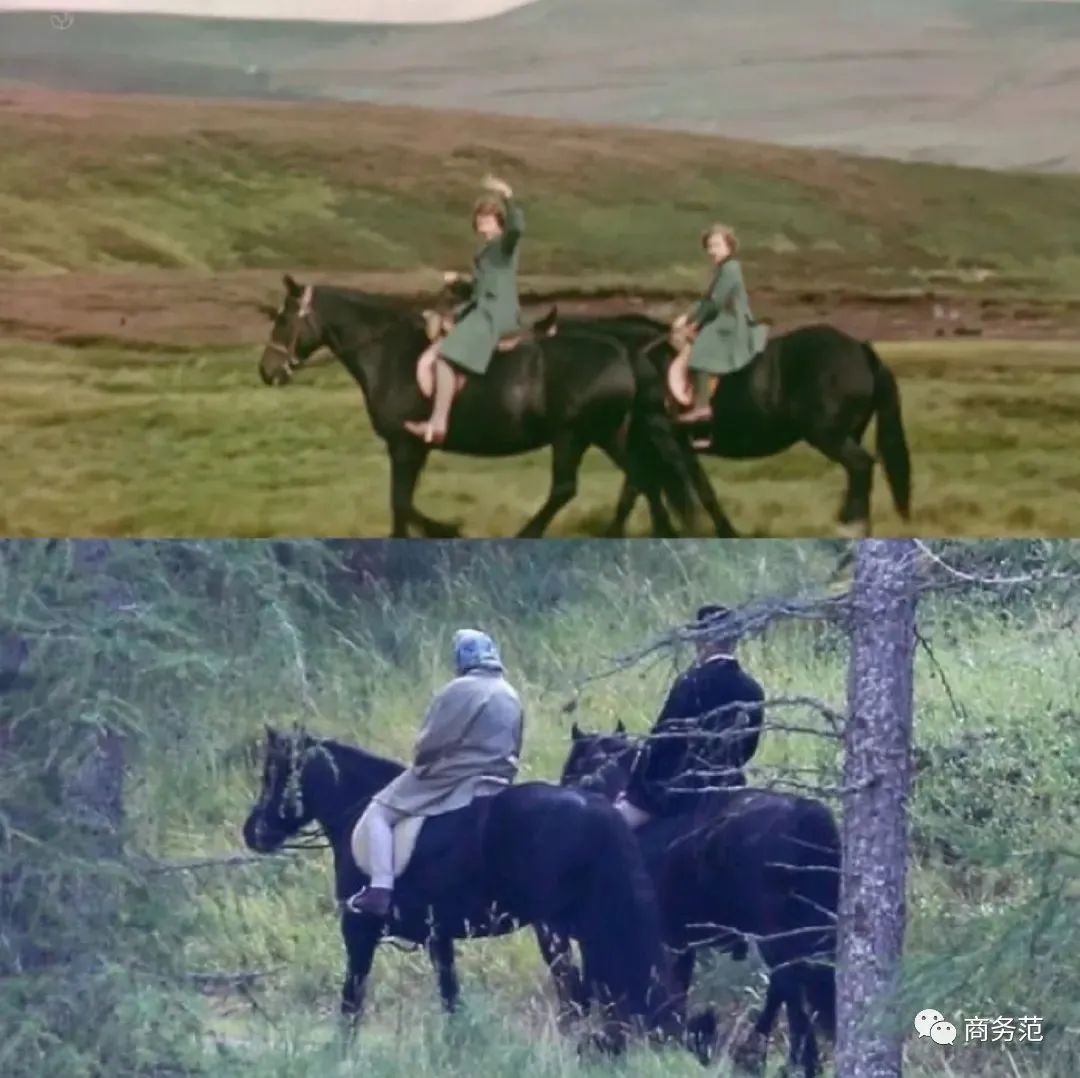 老钱vs新钱vs顶级网红，度假也有鄙视链？