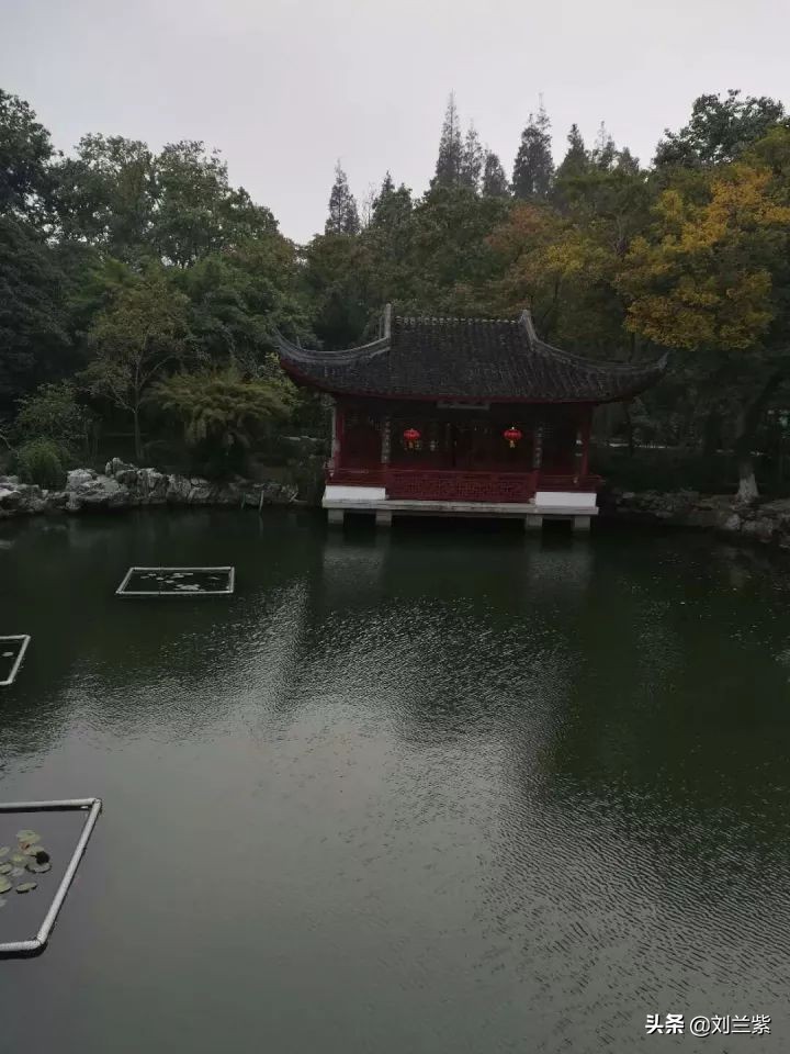 淀山湖水多深,淀山湖哪里水最清