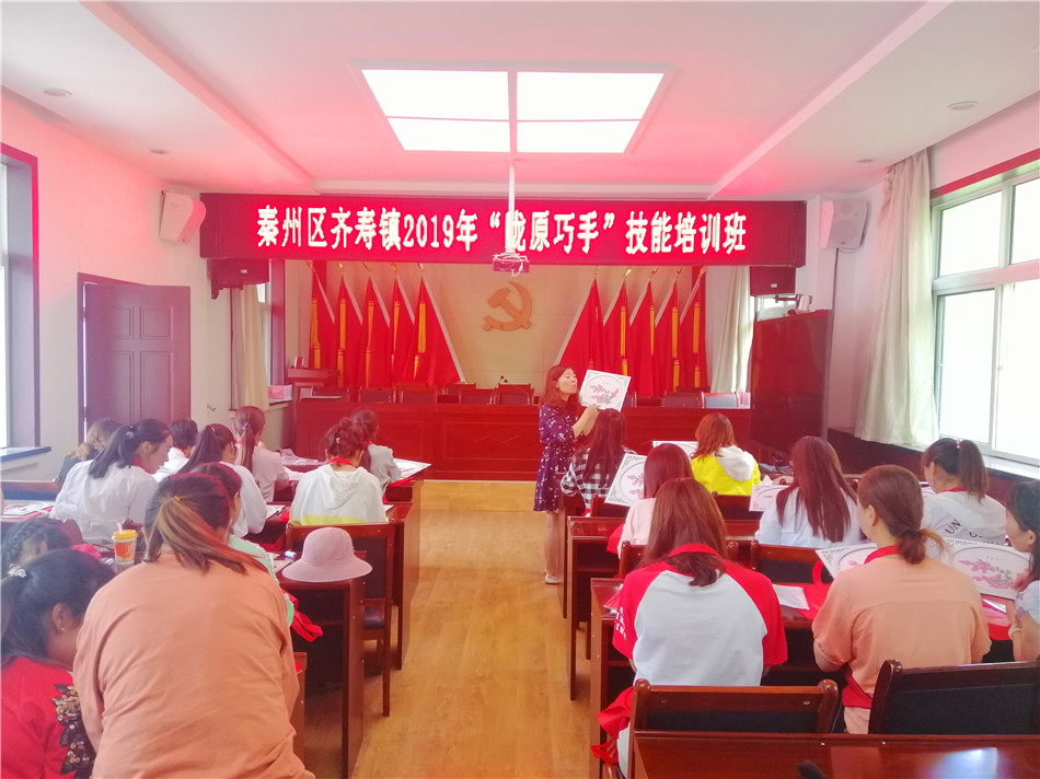 秦州区齐寿镇妇联培训,妇联开展宣讲技能培训