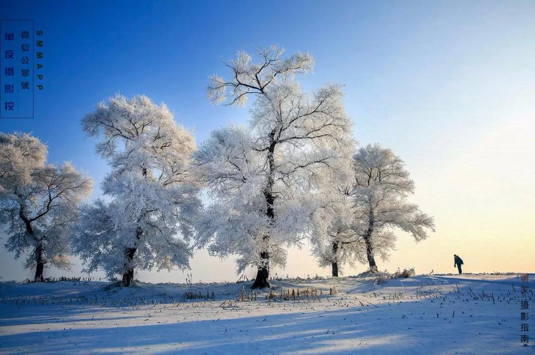 有了三脚架怎么摄影,有了三脚架可以拍人像