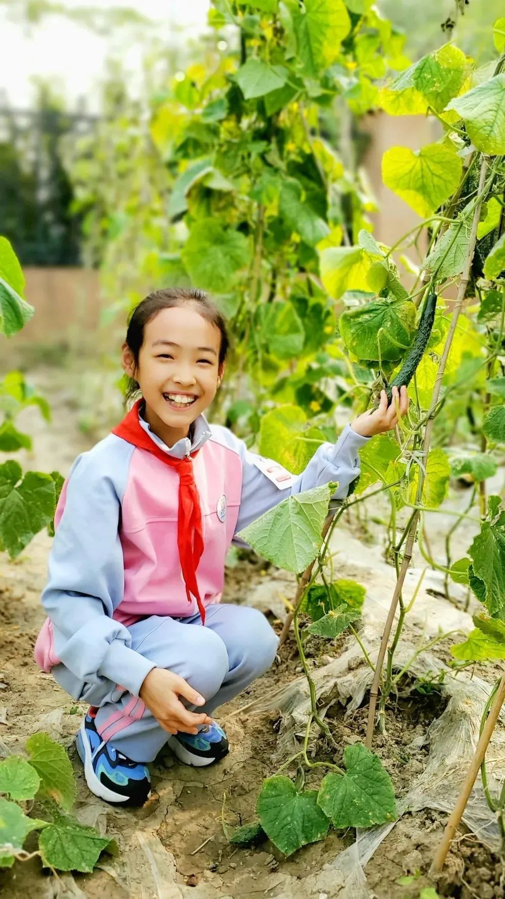 北京所有小学排名一览表,北京30所小学排名一览表
