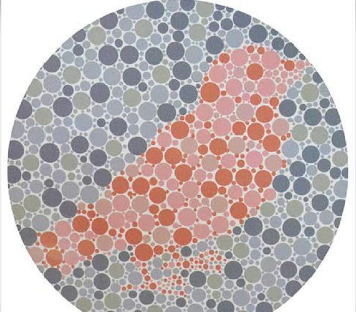 2021版色盲检测图，倘若有三张看不清，那么就别再浪费报考费