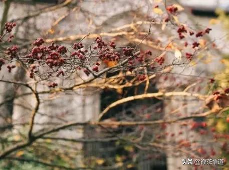 夫妻三观不合指哪三观,三观不合一般都是哪三观