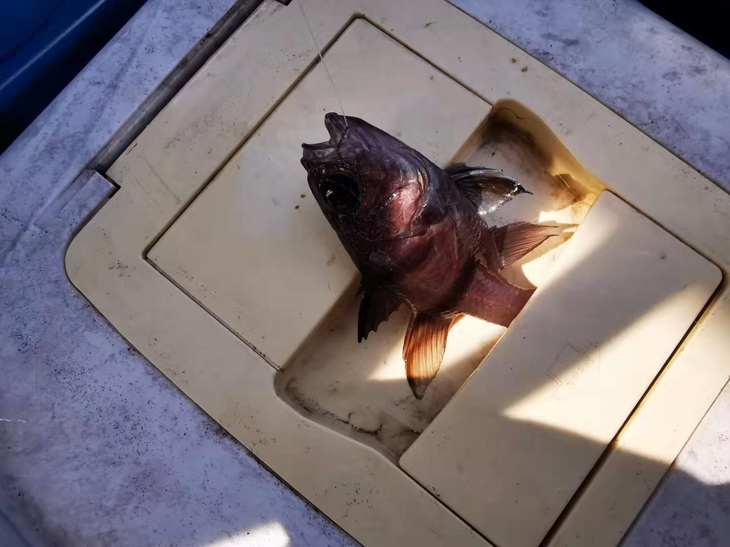 深圳马尔代夫游,深圳三门岛马尔代夫