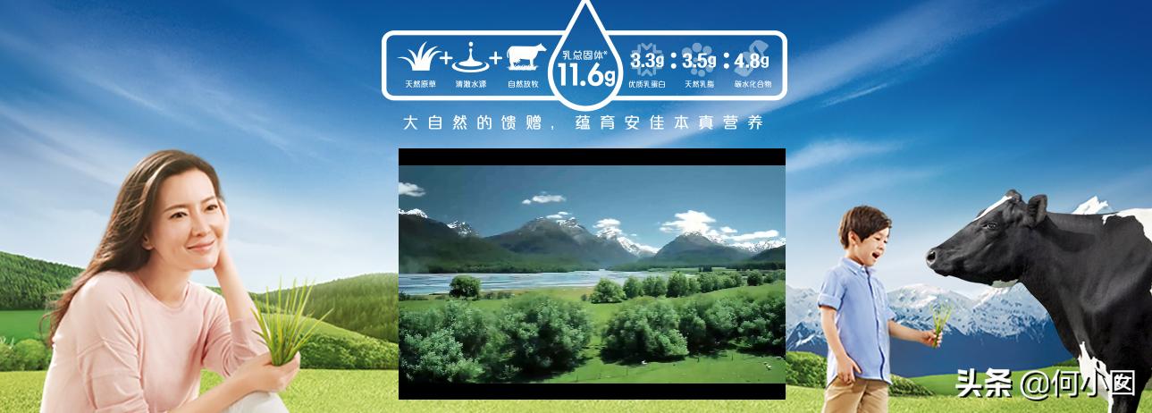 涔愯嵎榛勬补鍜屽畨浣抽粍娌瑰摢涓瘮杈冨ソ,涔愯嵎榛勬补鍜屽畨浣抽粍娌瑰摢涓ソ