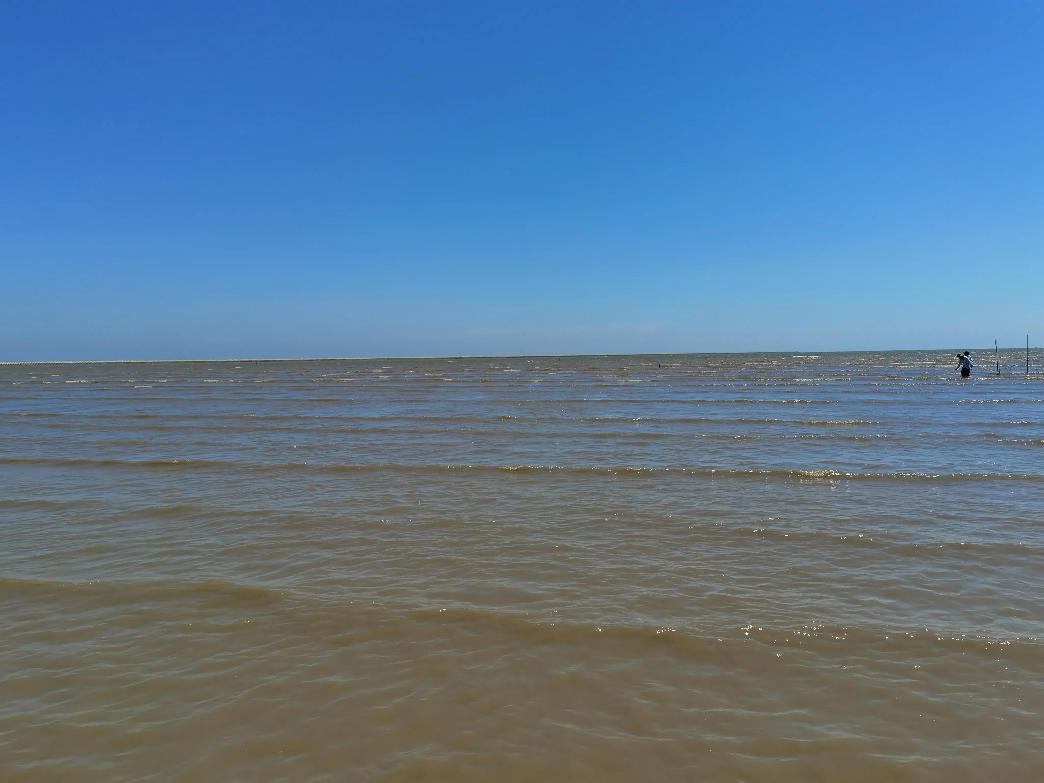 河南人骂七孙是什么意思,河南话七孙是骂谁