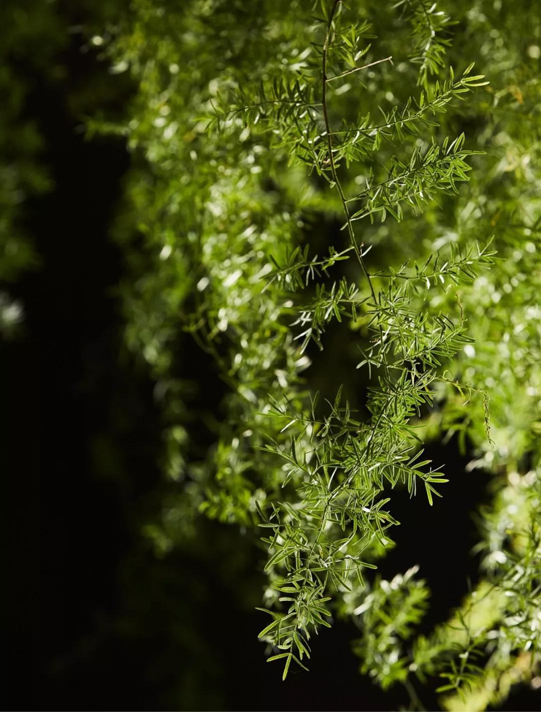 全球最好的设计公司,值得学习的国外软装设计推荐