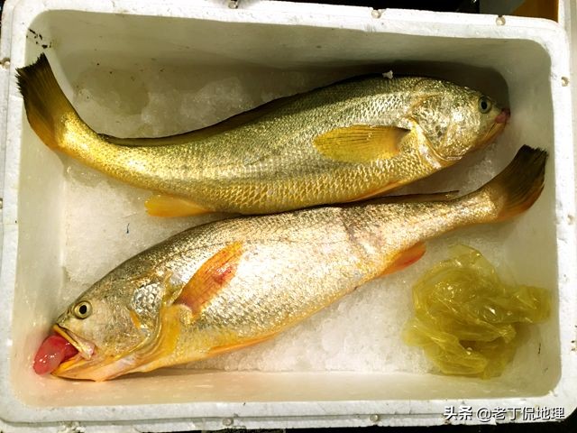 中国海鲜地图,中国海鲜最多地区