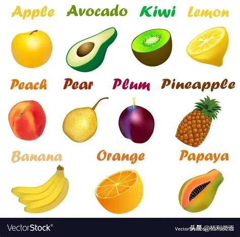 幼儿英语水果单词表,幼儿英语水果单词大全视频