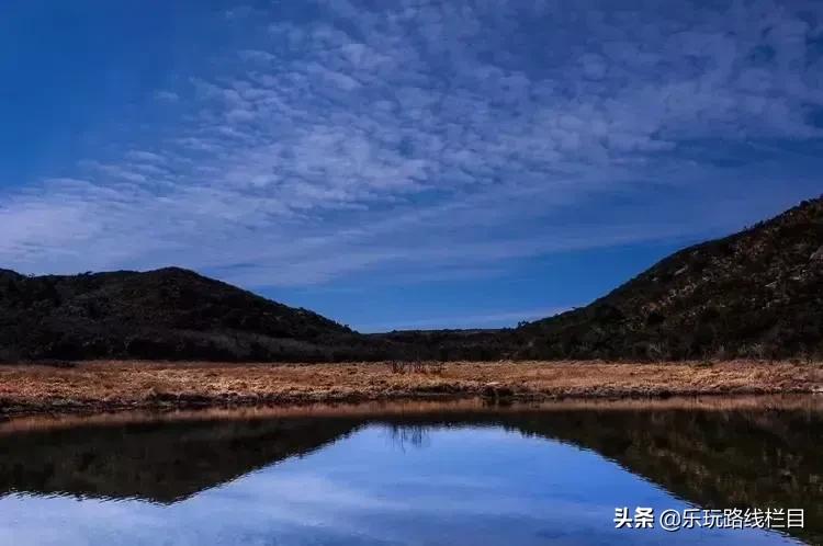 清明周末去哪玩？青田这个神仙山村必须打卡