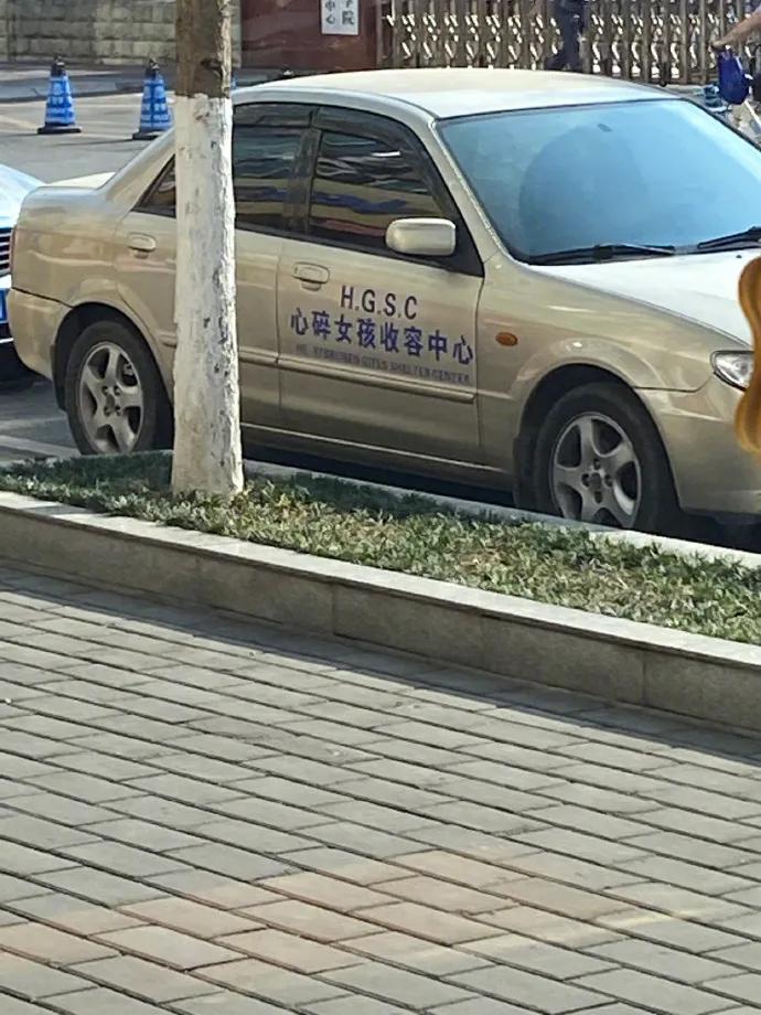 单身狗秀恩爱,单身狗的520秀恩爱