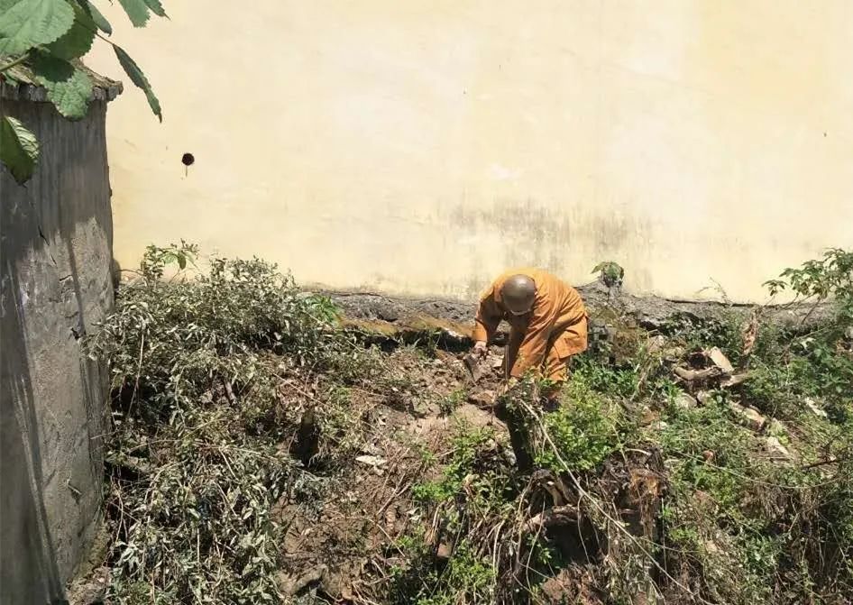 抢抓农时开展农业生产,农民纷纷抢抓春耕生产有利时机