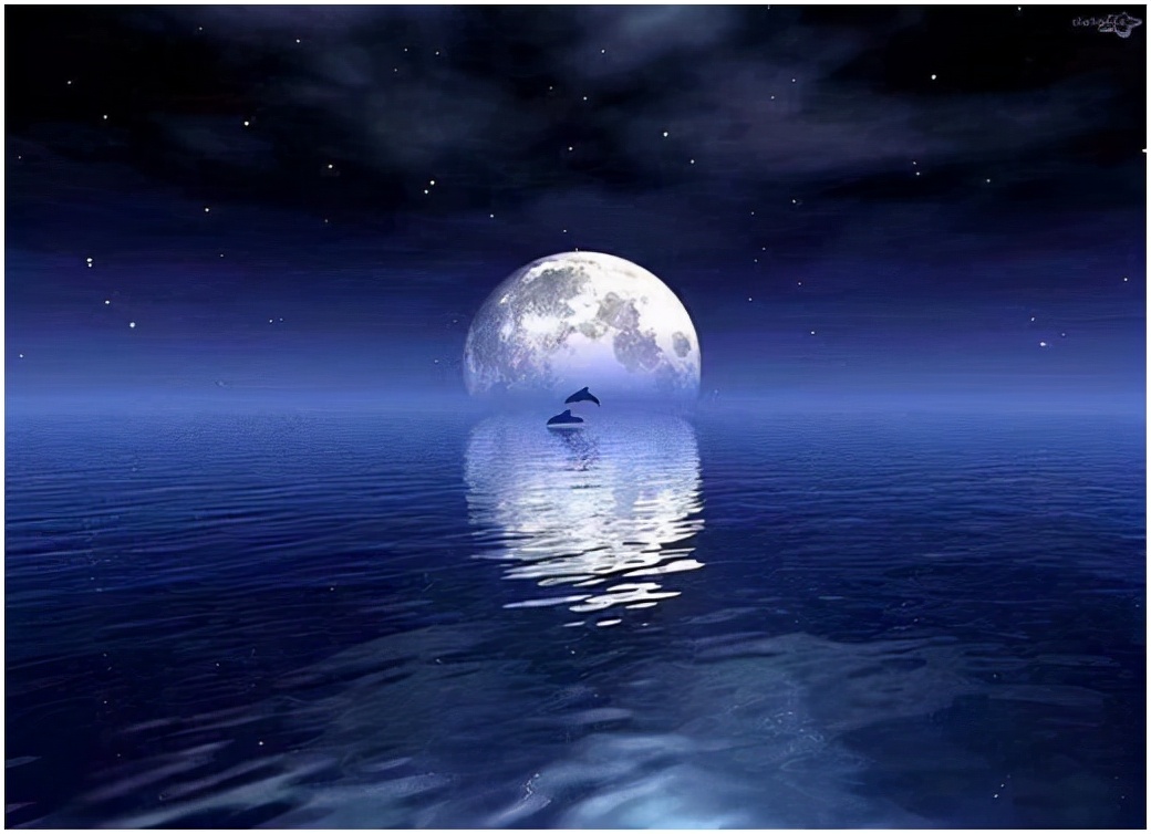 千里共婵娟整句话,中秋庆团圆明月千里共婵娟