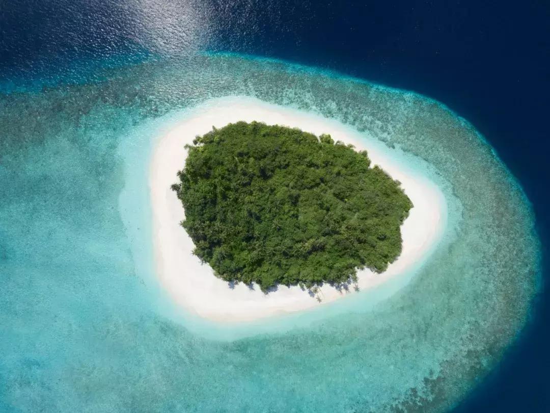 lv包包轻奢都是真的吗,别光顾着购物