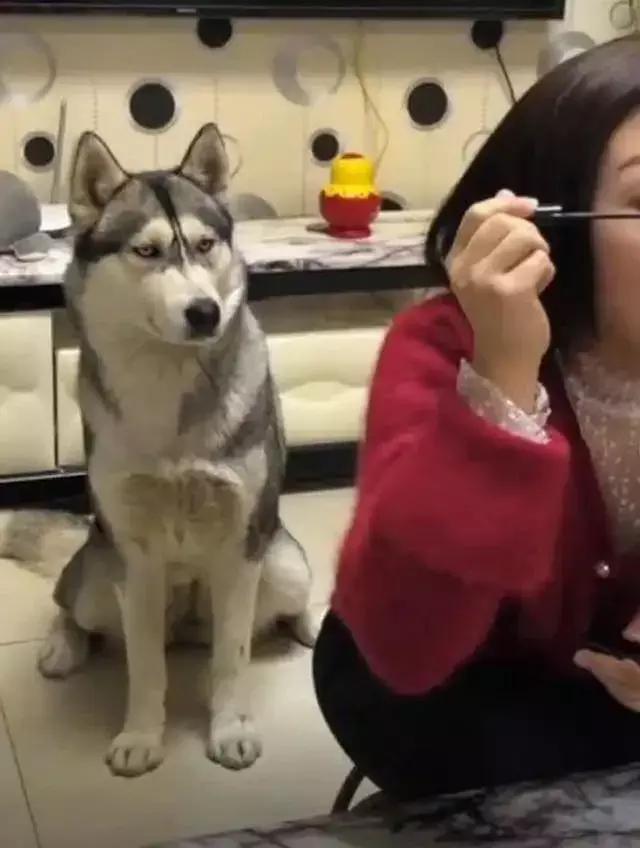 绌剁珶涓瑰嚖鐪艰繕鏄鑺辩溂濂界湅,澶у瑙夊緱涓瑰嚖鐪煎ソ鐪嬭繕鏄鑺辩溂