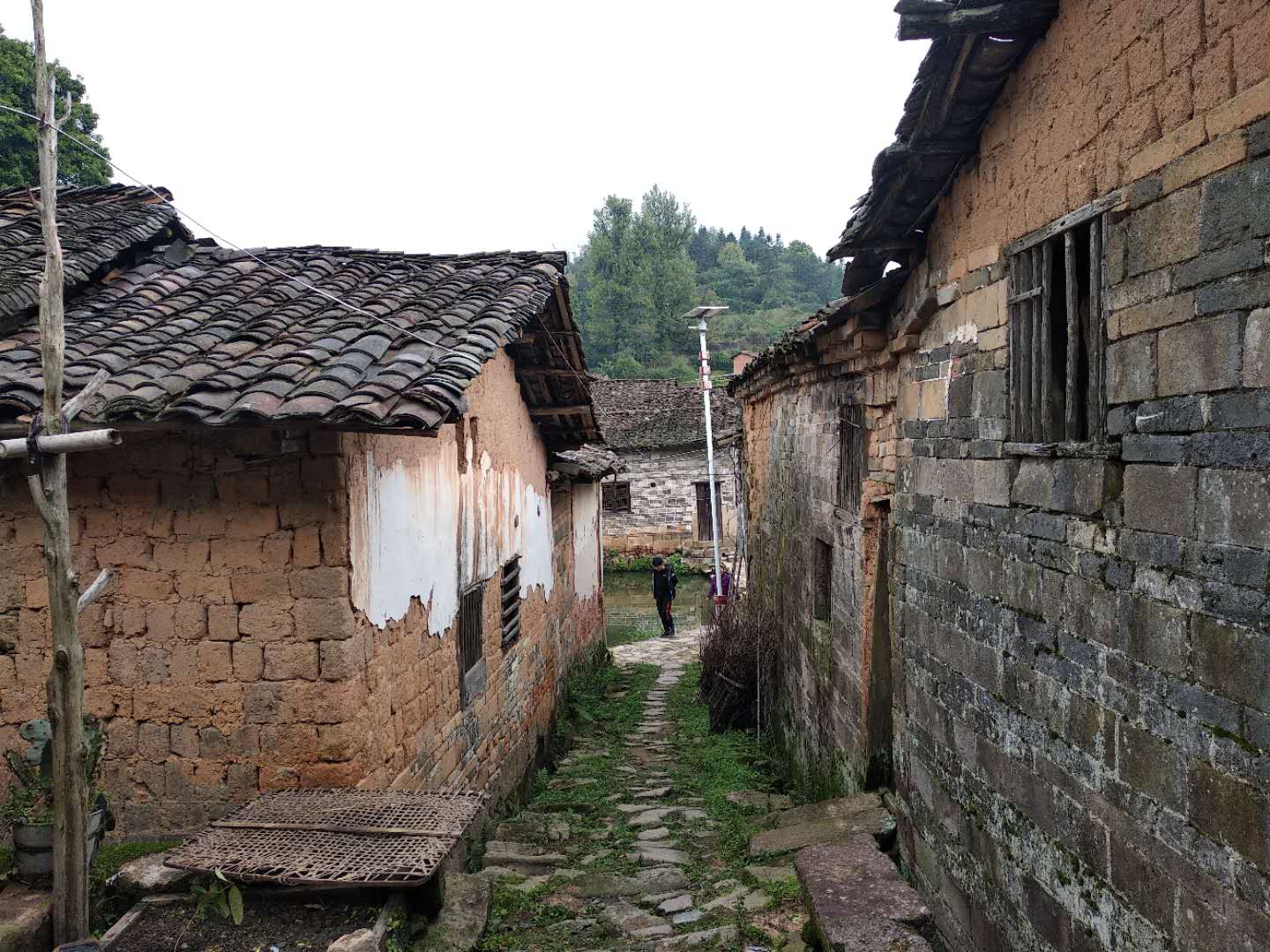 复读生自传怎么写,复读生的自传感言