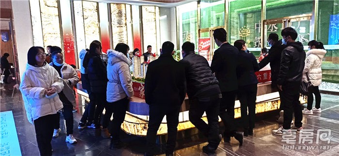 实探纯洋房新盘,实探广州楼市