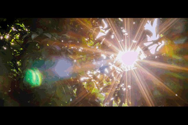 深圳游玩最佳地点排行榜前十名,深圳适合小孩游玩最佳地方推荐