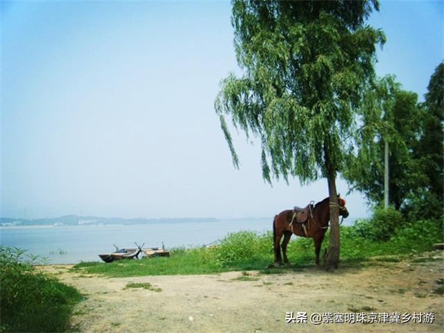 天津紫云水岸香草园在哪,天津市蓟州区紫云水岸草园
