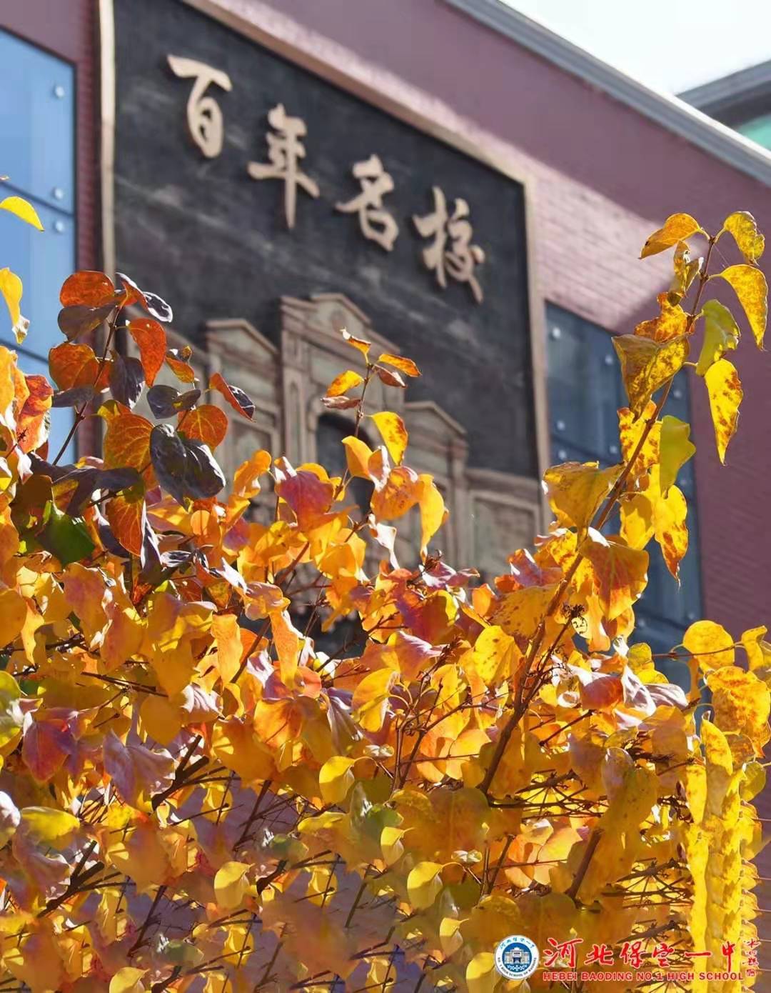 保定一中分校规划图,保定一期城改安置区效果图