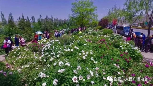 探丝路之旅,探丝路风情