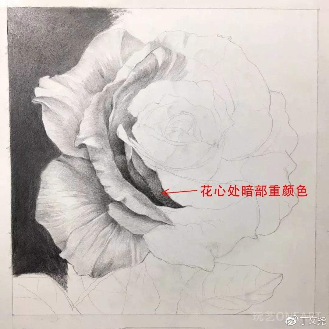 素描基础绘画教程郁金香,素描丁程鑫详细教程
